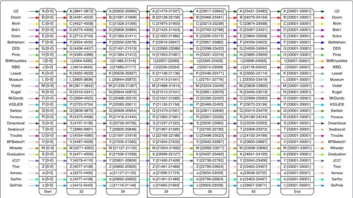 Fig. 6 The anchor view. The alignment of 29 Mycobacterium bacteriophage genomes is a challenge to visual approaches