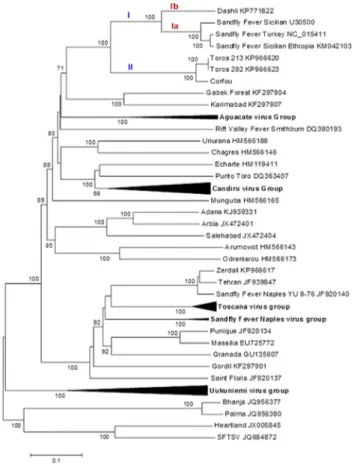 Fig 3. Phylogenetic analysis of the phlebovirus amino acid sequences: Gn protein.