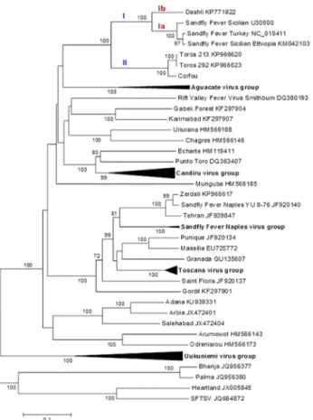 Fig 4. Phylogenetic analysis of the phlebovirus amino acid sequences: Gc protein.