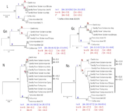 Fig 7. Phylogeny and proposed lineages and sublineages within the Sandfly fever Sicilian virus complex.