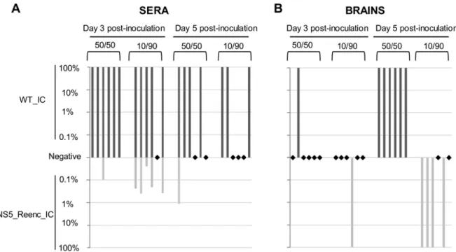 Fig 7. Results of in vivo competition experiments. Competitions were performed using two initial PFU ratios (WT_IC/NS5_Reenc_IC virus: 50/50 or 10/
