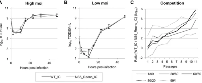 Fig 2. In cellulo replicative fitness of WT_IC and NS5_Reenc_IC viruses in BHK21 cells