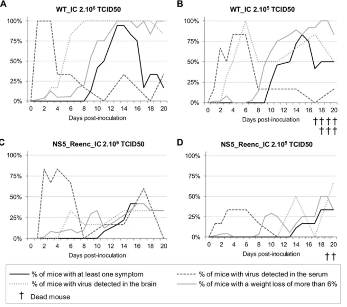 Fig 3. Time distribution of the proportion of mice with at least one symptom, with a weight loss of more than 6% and with virus detected in the serum or in the brain by qRT-PCR