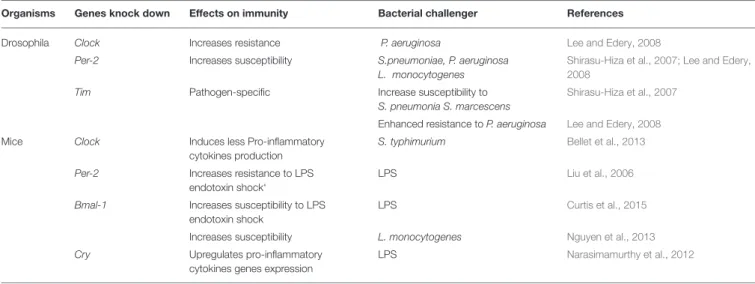 TABLE 1 | Clock genes mutations consequences for antibacterial immunity.