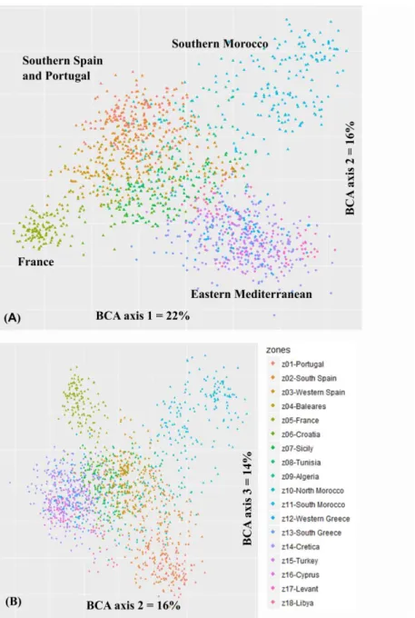 Figure 1 --  Ordination of the 1542 relevés describing plant assemblages associated with the  carob  tree  based  on  the  Bray-Curtis  dissimilarity  index  and  a  between-class  analysis  (BCA)  with  the  geographical  areas  as  the  class  factor