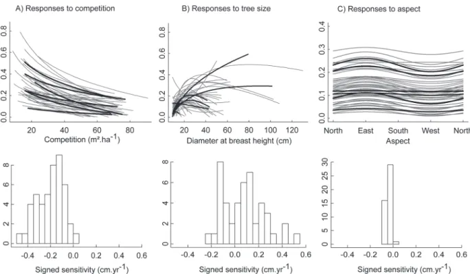 Fig 1. Predicted species growth response shapes and amplitudes to competition, tree size and aspect