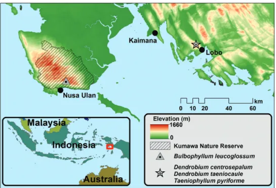 Figure 1.  Main localities sampled during Lengguru 2014 expedition and distribution of the four new  species in West Papua, Indonesia.