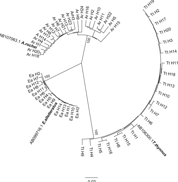 Fig 2. Unrooted NJ tree based on the p-distance of the mtDNA control region sequences used