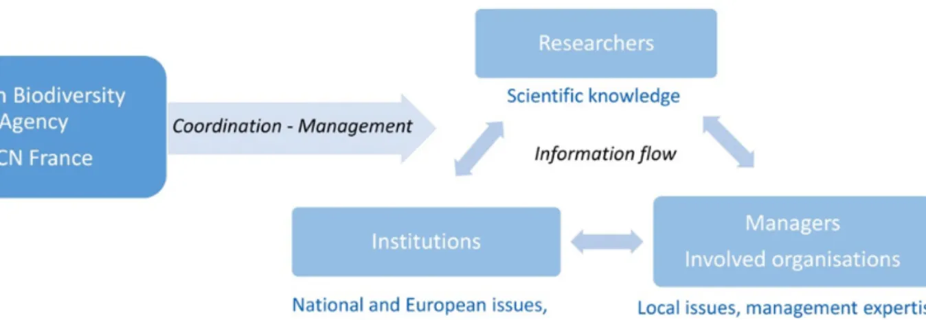 Figure 1. IBMA organisational chart.