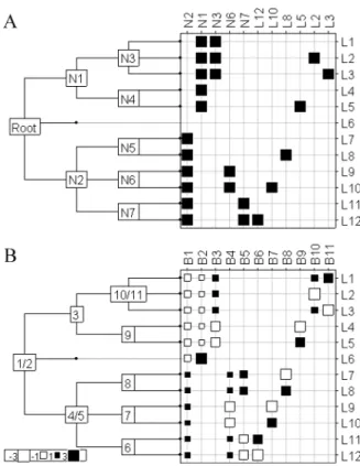 Figure 1. Illustration of the orthonormal basis construction from a ﬁctive phylogenetic tree featuring 12 tips and 7 nodes.