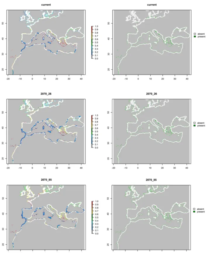 Fig 5. Potential distribution of Pancratium maritimum depicted as the probability of presence (a) and presence/absence (b) during two time periods: current period (CURR, 1950–2000) and near-future conditions (FUT-2070) assuming different rates of global CO