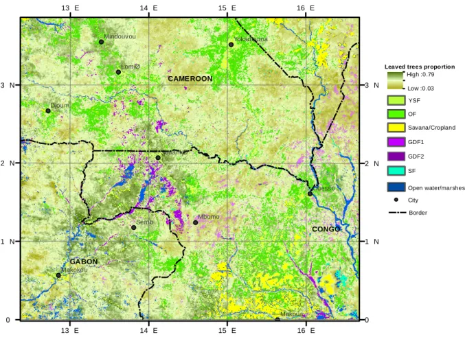 Fig. 5. Map of the distribution of the main forest classes (open forest, young secondary forest, swamp forest and monodominant Gilbertio- Gilbertio-dendron dewevrei forests) along with the MODIS-predicted leaved trees proportion within the mixed forest cla