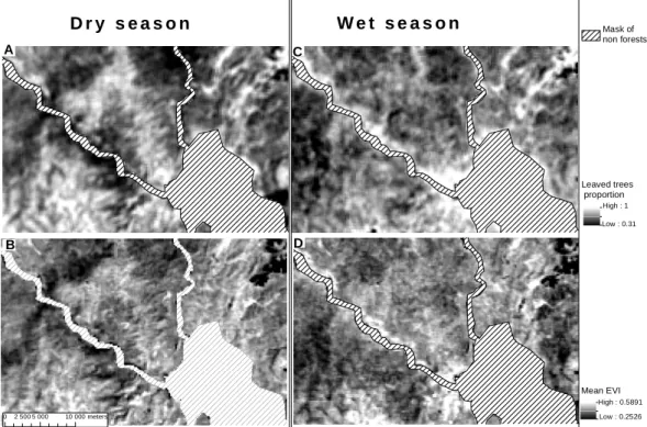 Fig. 3. Maps of the proportion of fully- or partially leaved trees vs. mean EVI values averaged for either the dry or the wet season