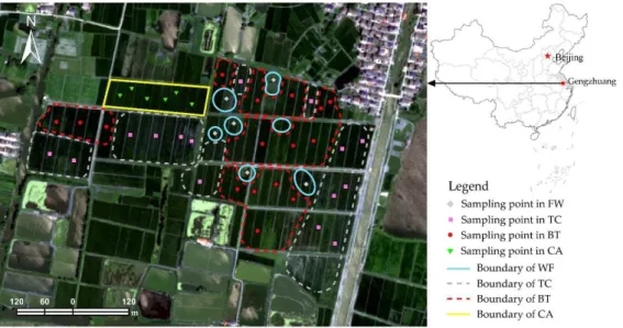 Figure 1. Location of the study area and soil sampling locations. 