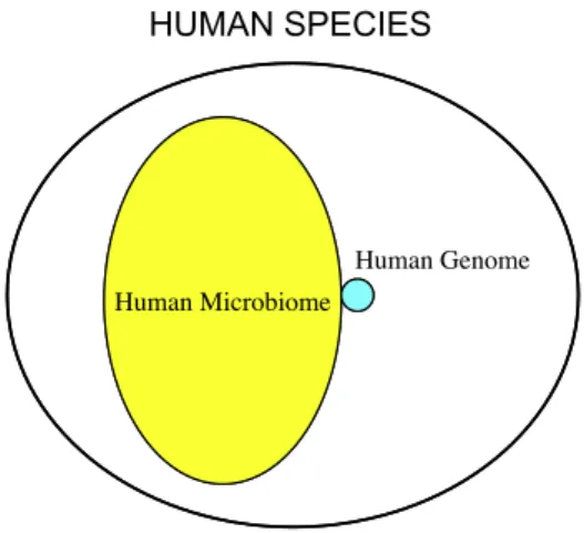 Fig. 1. The microbiome is the expression of the ecological conditions of the milieu (such as temperature, pH, content in hormones, lipids and proteins, UV exposure, absence of light, type of mucosa