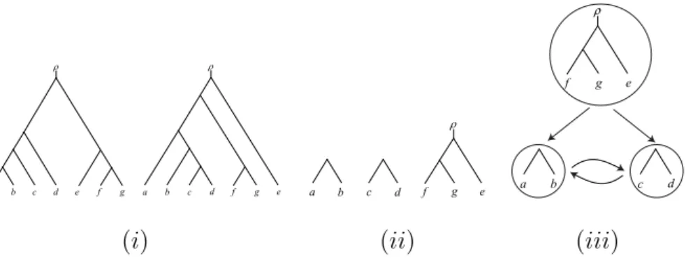 Figure 1: (i) Two phylogenetic trees S and T on X = {a, b, c, d, e, f, g }. (ii) An agreement forest F for S and T 
