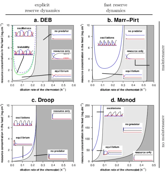 Figure 2. Predictions made with the four models of individual metabolism and Holling-II functional response