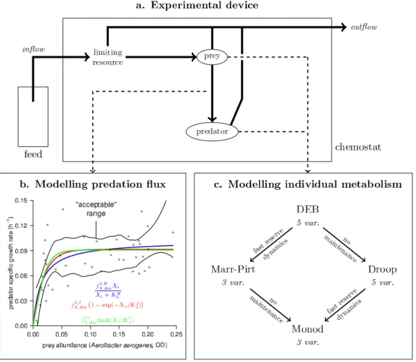 Figure 1. Sketch of the study. We compare predictions of predator-prey system in a chemostat-like environment (a) modelled with one of three mathematical functions (color,
