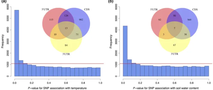 Fig. 4 Empirical distribution of P-values for the association of SNPs with (a) the temperature (b) the drought covariate (right)