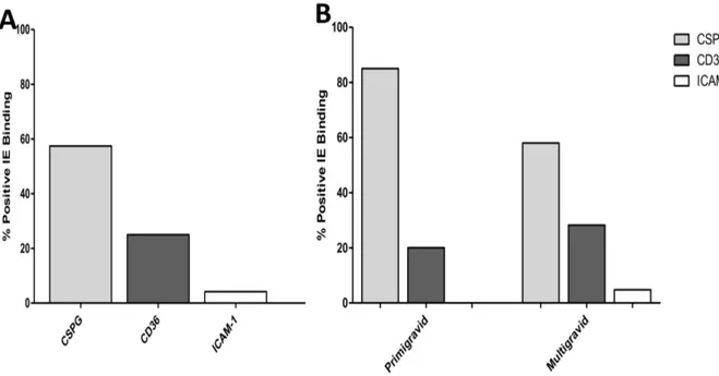 Table 3. Predominant var genes transcripts in PAM isolates adhering to CSA and CD36, P,0.0001*.