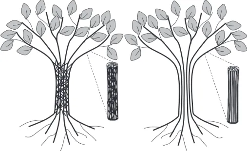 Fig. 4.  Graphical representation of the hydraulically integrated (left) and sectorial plant (right) by Schenk et al