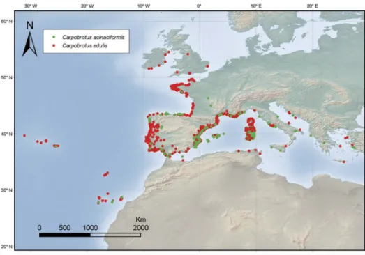 Figure 3. Distribution map of C. edulis and C. acinaciformis in Western Europe. The map is given according to GBIF (2017) and the Fédération des Conservatoires botaniques nationaux (2013) with some modi ﬁ cations based on our unpublished data on the specie