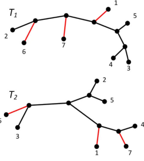 Figure 2: Two unrooted trees T 1 , T 2 on taxa X = {1, 2, 3, 4, 5, 6, 7}. A uMAF {{2, 3, 4, 5}, {1}, {6}, {7}} can be obtained by deleting the 3 edges marked red in each tree