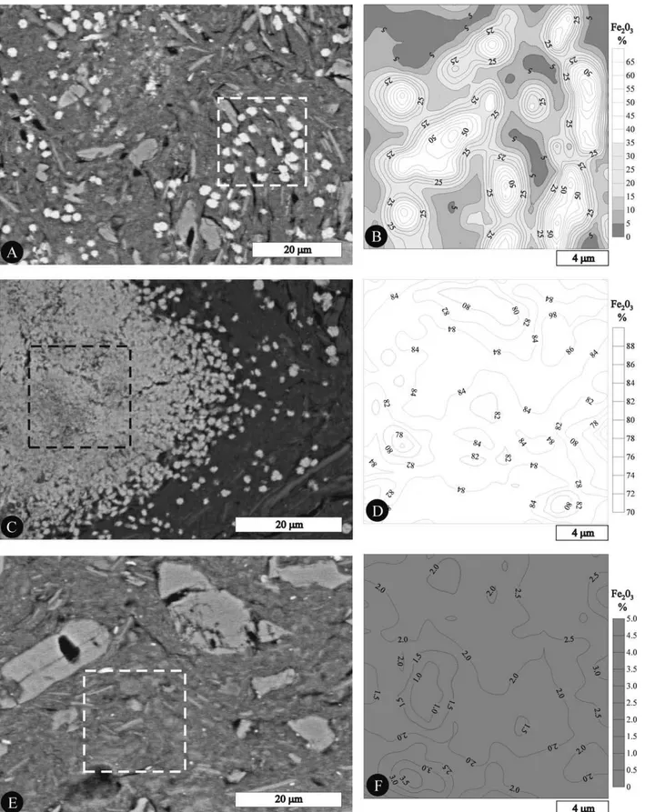 Figure 2. A, C and E. SEM images of RV, RS and GC spots and selected area for quantitative chemical measurements (RV, A; RS, C; GC, E)