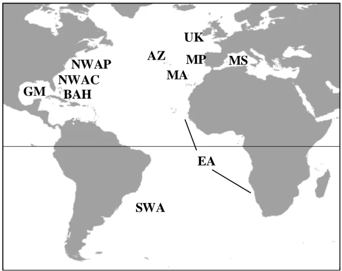 Figure 1. A. Map of the Atlantic Basin showing the populations for which mtDNA sequences  were available (Sampling site abbreviations: AZ: Azores, MA: Madeira, MP: Mainland  Portugal, UK: United Kingdom, MS: Mediterranean Sea, NWAP: North-West Atlantic  Pe