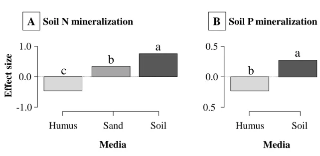Figure 3. Changes in bacterivore-induced effect size (mean) on soil net N (A) and P (B) 