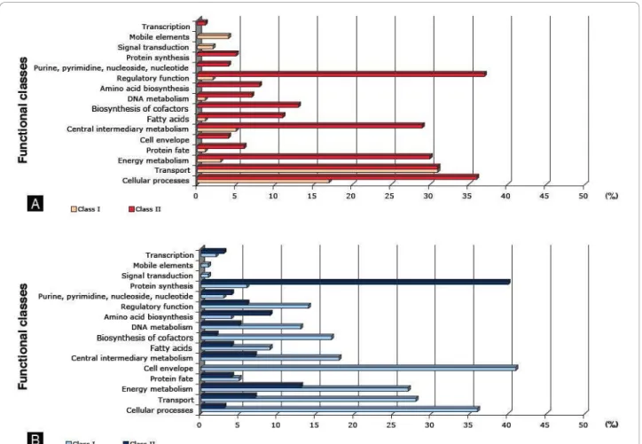 Figure 3 Distribution of genes differentially expressed under arsenic stress and specific to Class I or II associated in clusters of functional categories