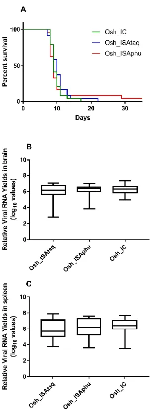 Figure 4. Survival curves (A) and viral RNA yields in collected organs (B–C). Group of twenty four  mice  were  intra-peritoneally  inoculated  with  2  ×  10 6   TCID 50   of  each  virus