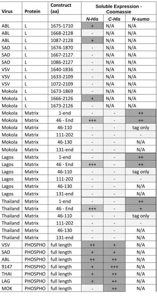 Table 1. Summary of Rhabdovirus   L,  M, P expression   Virus  Protein  Construct (aa)  Soluble Expression - Coomassie 