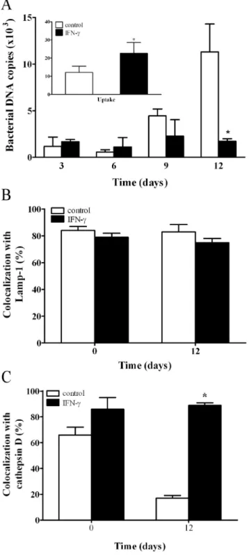 Table 1. Effect of IFNc on IL-16 secretion a .