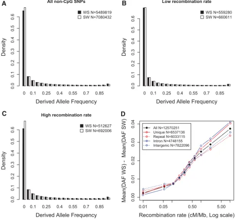 Figure 1. Variations in derived allele frequencies (DAF) according to mutation type (WS or SW) and local recombination rate: non-CpG sites
