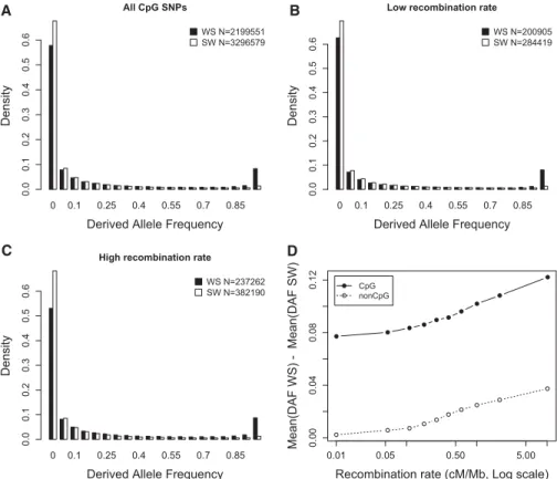 Figure 2. Variations in derived allele frequencies according to mutation type (WS or SW) and local recombination rate: CpG sites