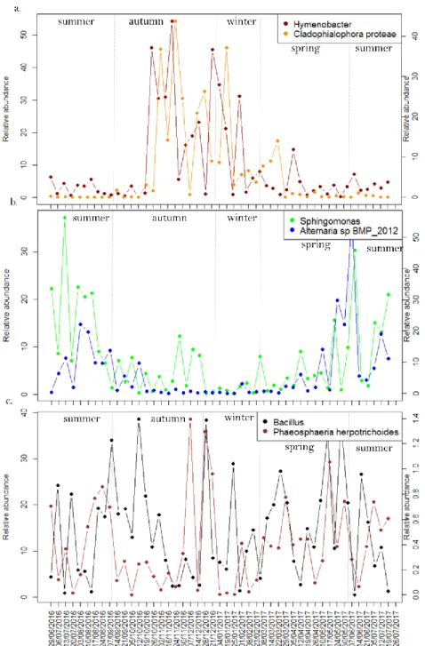 Fig.  4.  Temporal  evolution  of  the  relative  abundance  of  several  fungal  species  and 325 