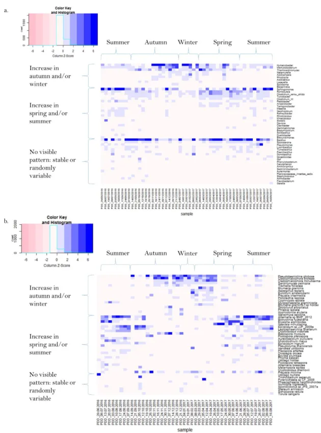 Fig.  5.  Temporal  evolution  of  the  relative  abundances  of  the  dominant  microbial  taxa