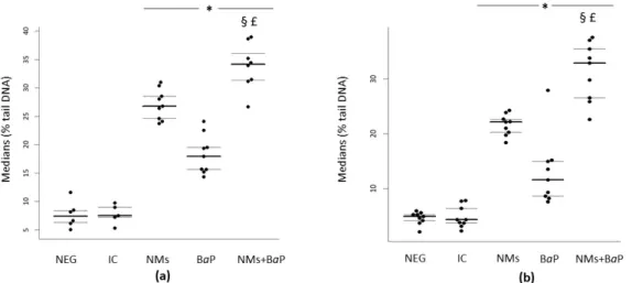 Figure 1. Evaluation of DNA damage using the comet assay following in vitro exposure of human (a) and rat sperm (b) to NMs+BaP