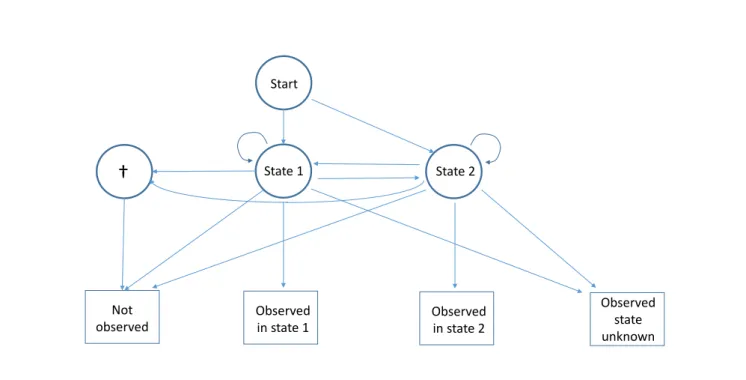 Figure 1. Diagram of the capture recapture multievent model for partial observations with two observable live states under the null hypothesis