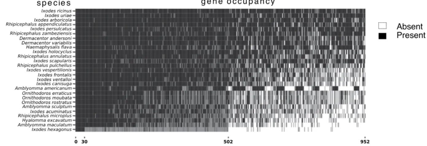 Figure 1.  Single Copy Orthologues (SCO) occupancy matrix, generated after clustering with Silix