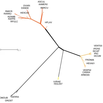 Figure 3.  Supernetwork based on genes from the SCO75 matrix (occupancy level of 75% among 27 tick  species)