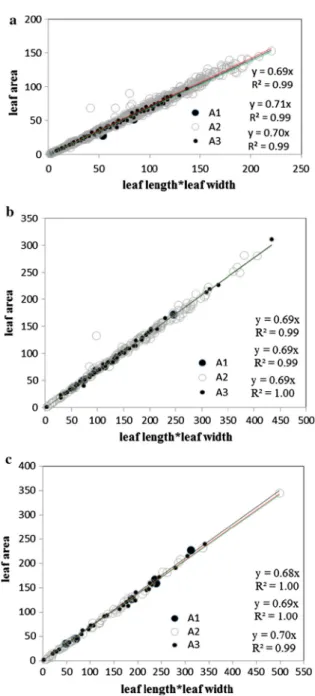 Fig. 4 Power law between the product of leaf length by leaf width (cm) and leaf dry mass (g) for C