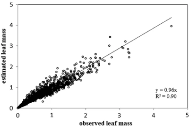 Fig. 5 Relationship between observed and estimated leaves dry mass using a power law equation LWe = 0.007(LL 9 LWi) 1.02 in C