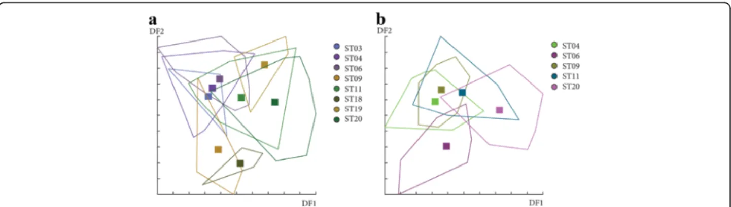 Fig. 14 Distribution of the individuals along the first two discriminant factors of shape analysis by station