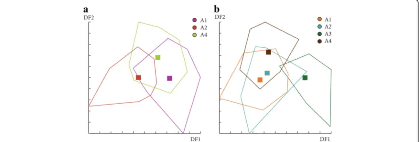 Fig. 11 Distribution of the individuals along the first two discriminant factors of shape analysis by altitude groups for females (a) and males (b).