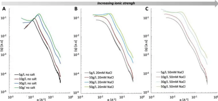 Fig. 5. Kratky-plot type representation of a gum Arabic solution at 5 g/L in 20 mM NaCl by small angle x-ray scattering.