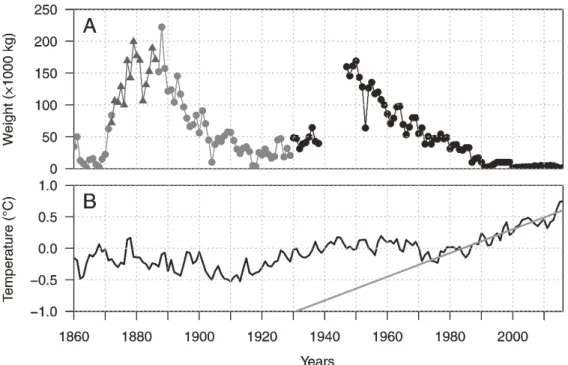 Fig. 1: Greek sponge production/exportation variations compared to annual average of sea surface  temperature (SST) anomalies of the Northern hemisphere between 1860 and 2017