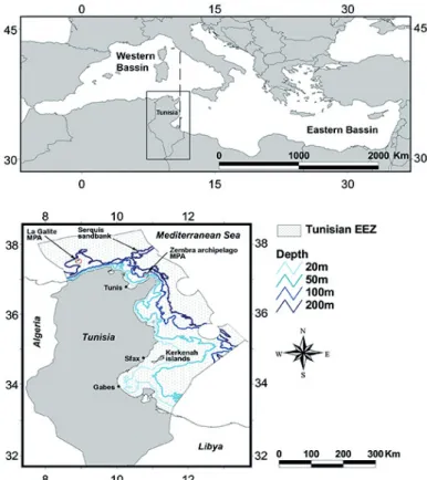 Fig. 1: Geographical location of the study area in the Mediterranean Sea and the main geographical features of Tunisia’s exclusive  economic zone.