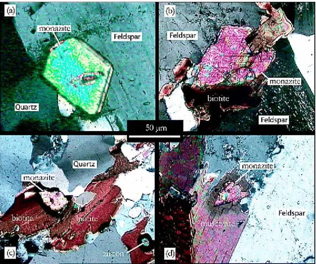 Figure 5. Micrographs showing the textural relationships between monazite and other mineral  phases in the dated samples